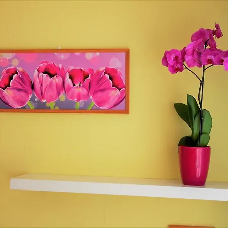 아파트 Edita 40m2 Close Pva Letnany